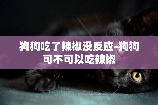 狗狗吃了辣椒沒反應-狗狗可不可以吃辣椒