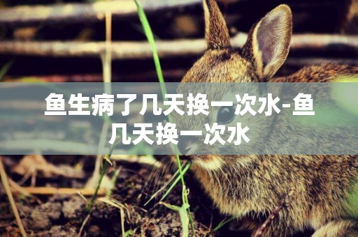 魚生病了幾天換一次水-魚幾天換一次水