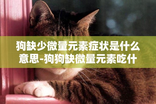 狗缺少微量元素癥狀是什么意思-狗狗缺微量元素吃什么