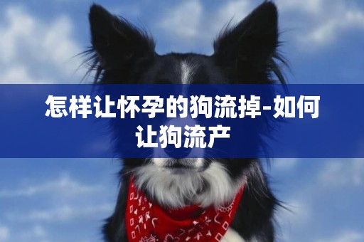 怎樣讓懷孕的狗流掉-如何讓狗流產