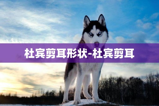 杜賓剪耳形狀-杜賓剪耳