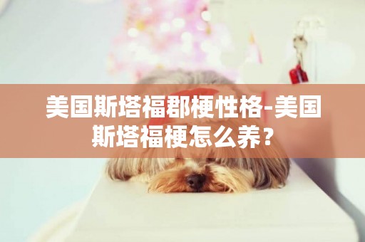 美國斯塔福郡梗性格-美國斯塔福梗怎么養？