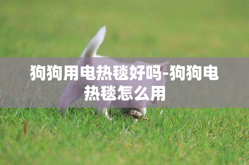 狗狗用電熱毯好嗎-狗狗電熱毯怎么用
