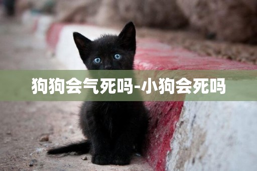 狗狗會氣死嗎-小狗會死嗎