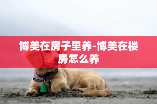博美在房子里養-博美在樓房怎么養