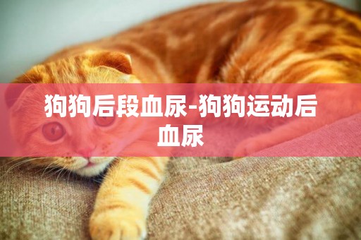 狗狗后段血尿-狗狗運動后血尿