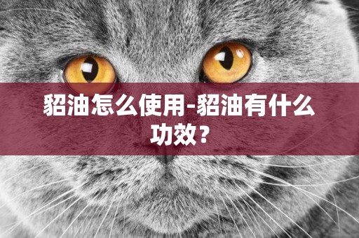 貂油怎么使用-貂油有什么功效？