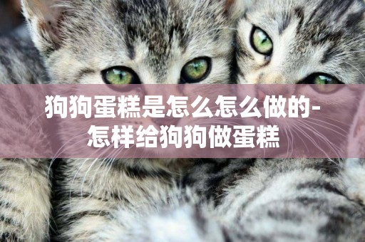 狗狗蛋糕是怎么怎么做的-怎樣給狗狗做蛋糕