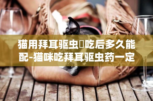 貓用拜耳驅蟲葯吃后多久能配-貓咪吃拜耳驅蟲藥一定要空腹吃嗎