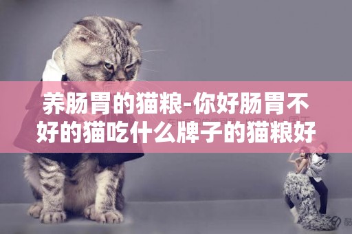 養腸胃的貓糧-你好腸胃不好的貓吃什么牌子的貓糧好？
