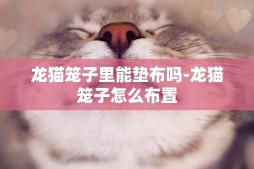 龍貓籠子里能墊布嗎-龍貓籠子怎么布置