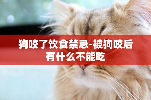 狗咬了飲食禁忌-被狗咬后有什么不能吃