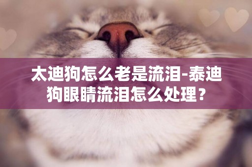 太迪狗怎么老是流淚-泰迪狗眼睛流淚怎么處理？