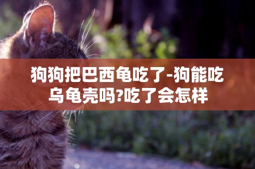 狗狗把巴西龜吃了-狗能吃烏龜殼嗎?吃了會怎樣