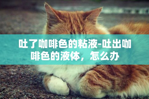 吐了咖啡色的粘液-吐出咖啡色的液體，怎么辦