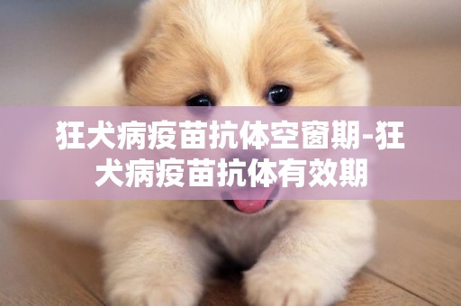 狂犬病疫苗抗體空窗期-狂犬病疫苗抗體有效期