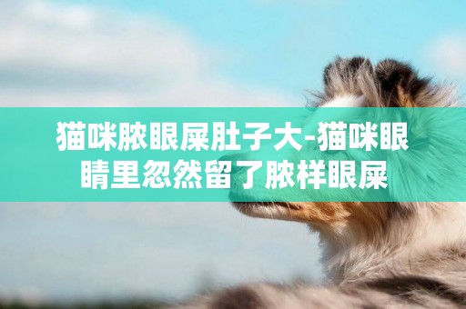 貓咪膿眼屎肚子大-貓咪眼睛里忽然留了膿樣眼屎