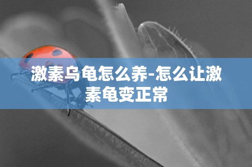 激素烏龜怎么養-怎么讓激素龜變正常
