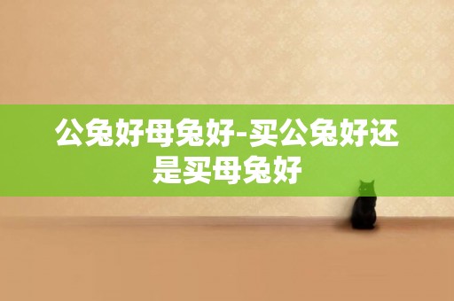 公兔好母兔好-買公兔好還是買母兔好