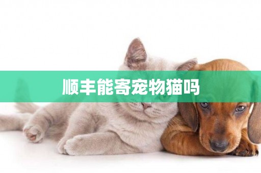 順豐能寄寵物貓嗎