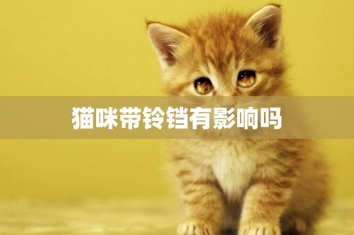 貓咪帶鈴鐺有影響嗎