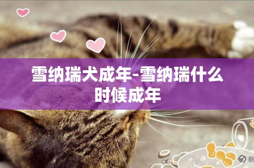 雪納瑞犬成年-雪納瑞什么時候成年