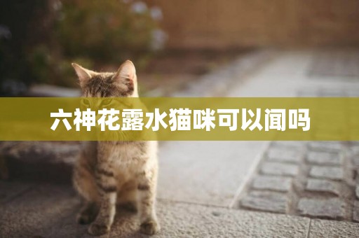 六神花露水貓咪可以聞嗎