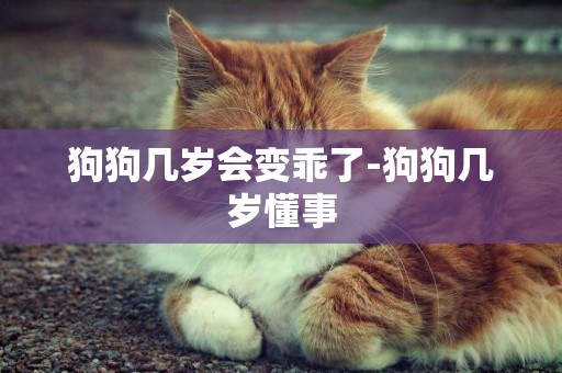 狗狗幾歲會變乖了-狗狗幾歲懂事