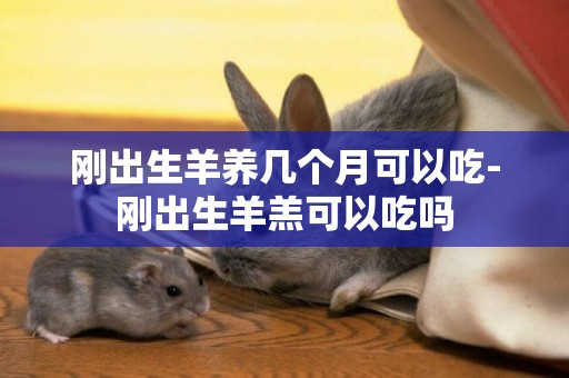 剛出生羊養幾個月可以吃-剛出生羊羔可以吃嗎