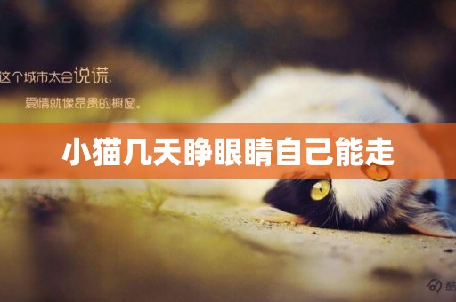 小貓幾天睜眼睛自己能走