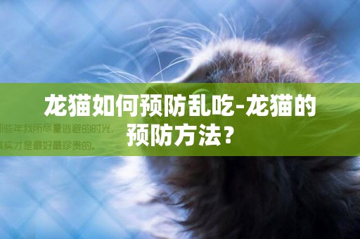 龍貓如何預防亂吃-龍貓的預防方法？