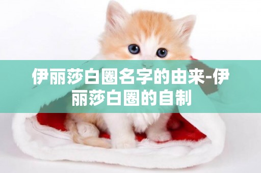 伊麗莎白圈名字的由來-伊麗莎白圈的自制