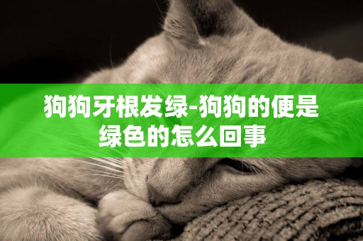狗狗牙根發綠-狗狗的便是綠色的怎么回事