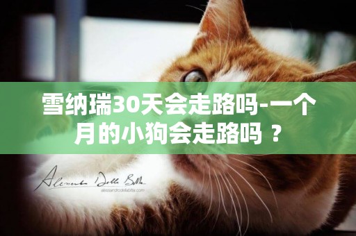 雪納瑞30天會走路嗎-一個月的小狗會走路嗎 ？