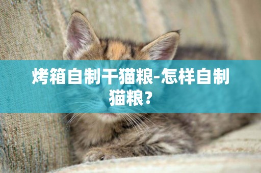 烤箱自制干貓糧-怎樣自制貓糧？