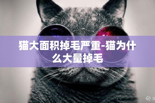 貓大面積掉毛嚴重-貓為什么大量掉毛