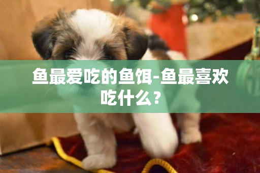 魚最愛吃的魚餌-魚最喜歡吃什么？