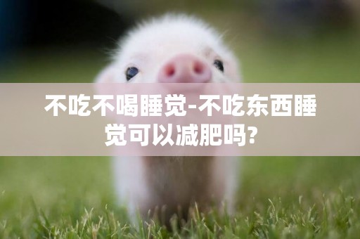 不吃不喝睡覺-不吃東西睡覺可以減肥嗎?