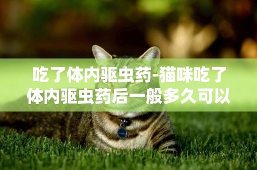 吃了體內驅蟲藥-貓咪吃了體內驅蟲藥后一般多久可以