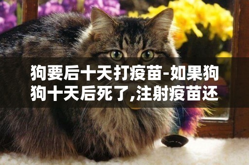 狗要后十天打疫苗-如果狗狗十天后死了,注射疫苗還有用嗎?