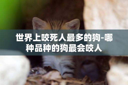 世界上咬死人最多的狗-哪種品種的狗最會咬人