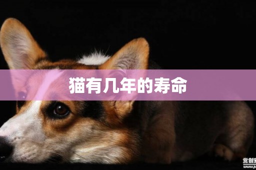 貓有幾年的壽命
