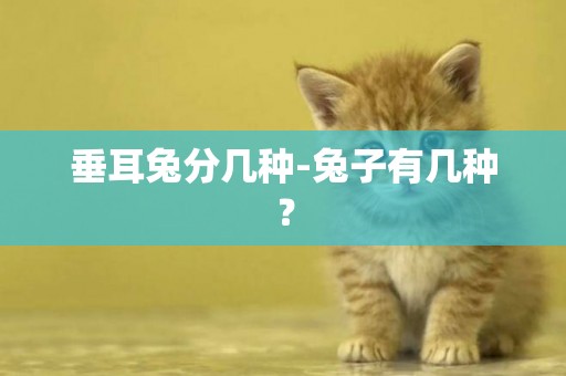垂耳兔分幾種-兔子有幾種？