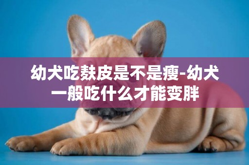 幼犬吃麩皮是不是瘦-幼犬一般吃什么才能變胖