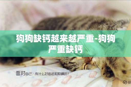狗狗缺鈣越來越嚴重-狗狗嚴重缺鈣