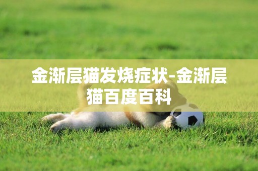 金漸層貓發燒癥狀-金漸層貓百度百科