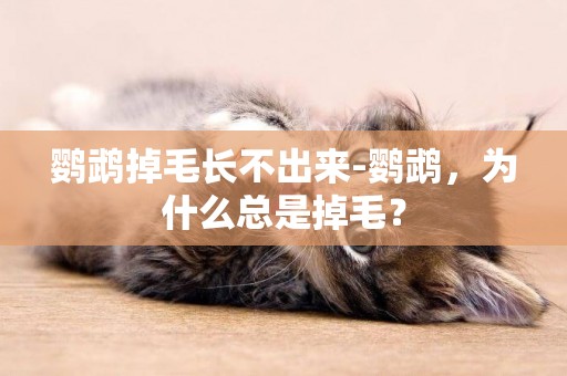 鸚鵡掉毛長不出來-鸚鵡，為什么總是掉毛？