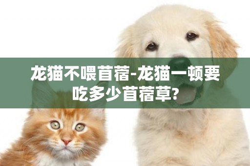 龍貓不喂苜蓿-龍貓一頓要吃多少苜蓿草?