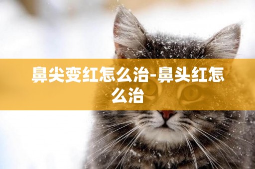 鼻尖變紅怎么治-鼻頭紅怎么治