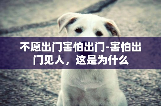 不愿出門害怕出門-害怕出門見人，這是為什么